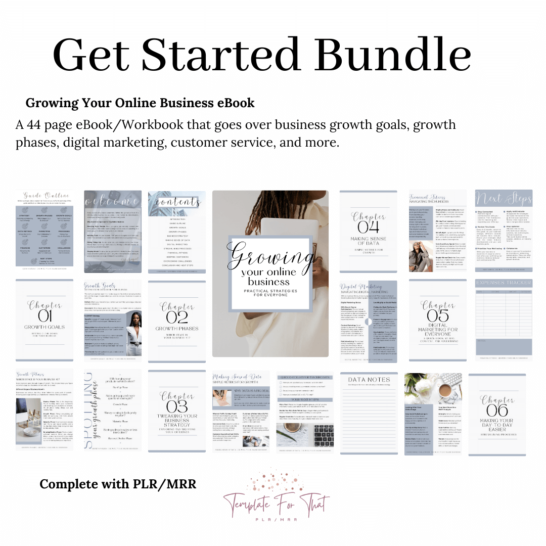 Get Started Bundle of digital products with PLR that you can resell 